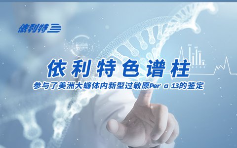 依利特色谱柱参与了美洲大蠊体内新型过敏原Per a 13的鉴定