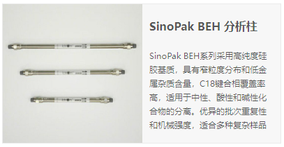 SinoPak BEH杂化硅胶柱