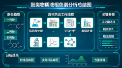 酚类化合物高效液相色谱检测方案：选型、应用与实操详解