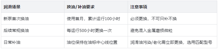 表1 恒流泵润滑保养要求表